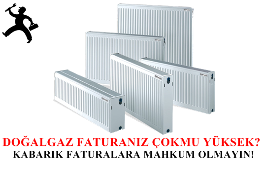 Petek Temizeme