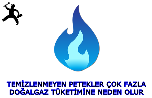 Petek Temizeme